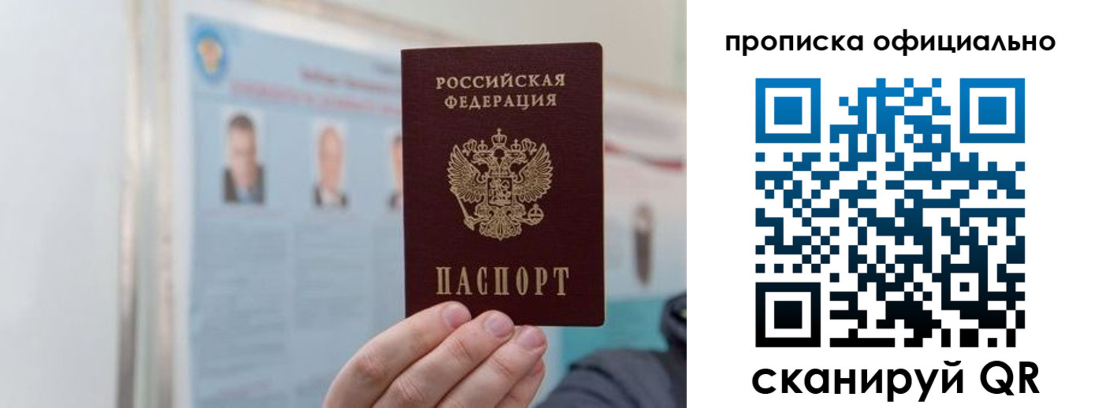 прописка гарантия в Заволжье